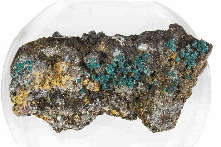 Teal Blue Rosasite on Goethite - Mexico #372782